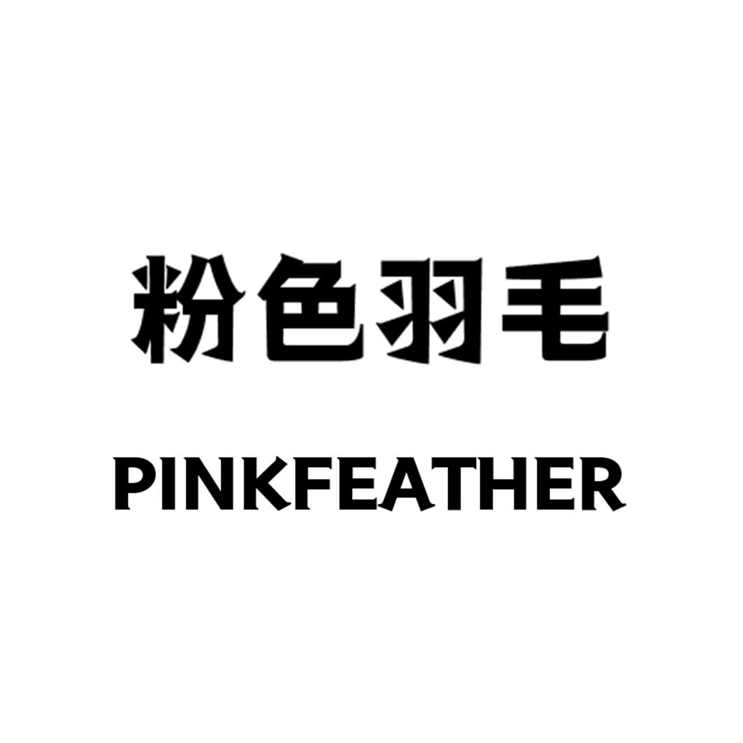 粉色羽毛PINKFEATHER