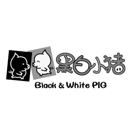 黑白小猪