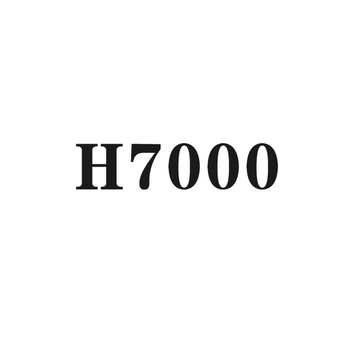 H 7000