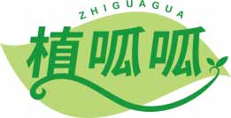 植呱呱
zhiguagua
