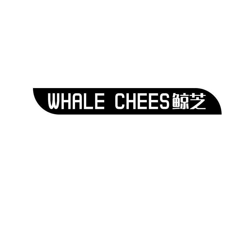 鲸芝
whale chees