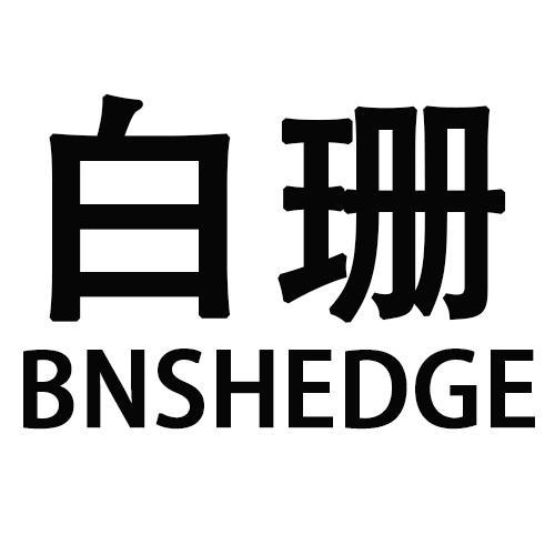白珊  BNSHEDGE