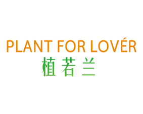 PLANT FOR LOVER 植若兰