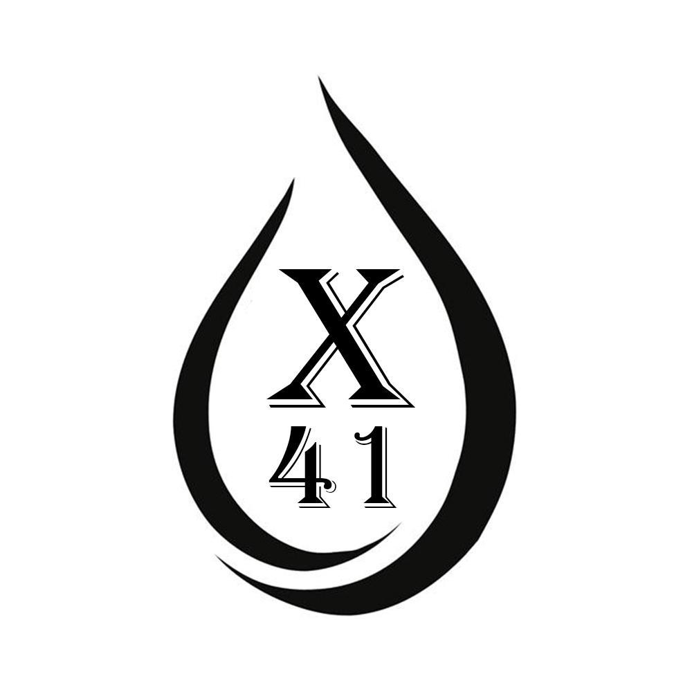 X 41