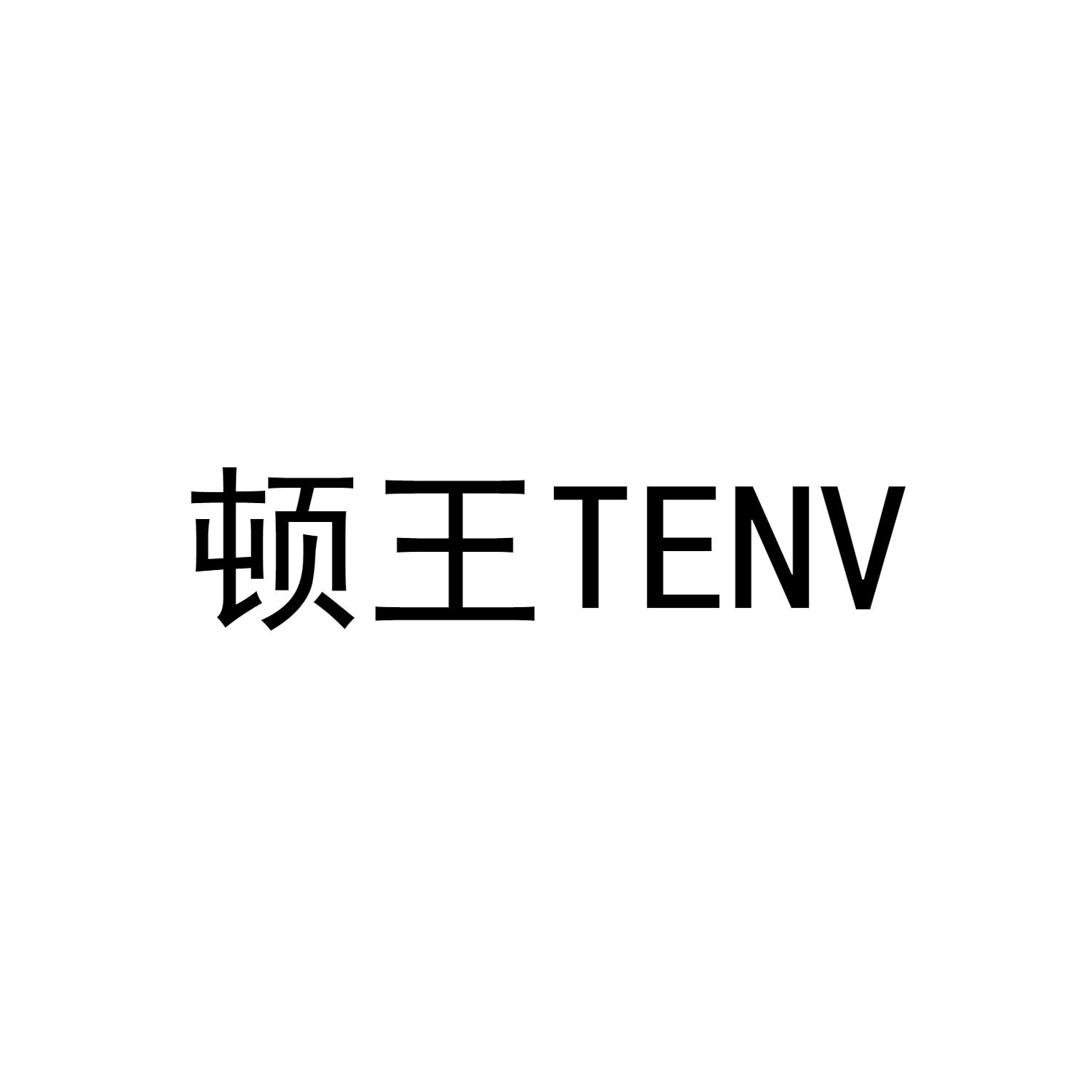 顿王TENV