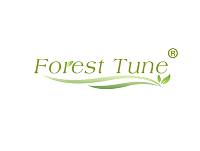 Forest Tune（森林之调）
