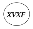 XVXF