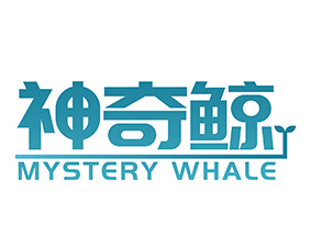 神奇鲸 MYSTERY WHALE