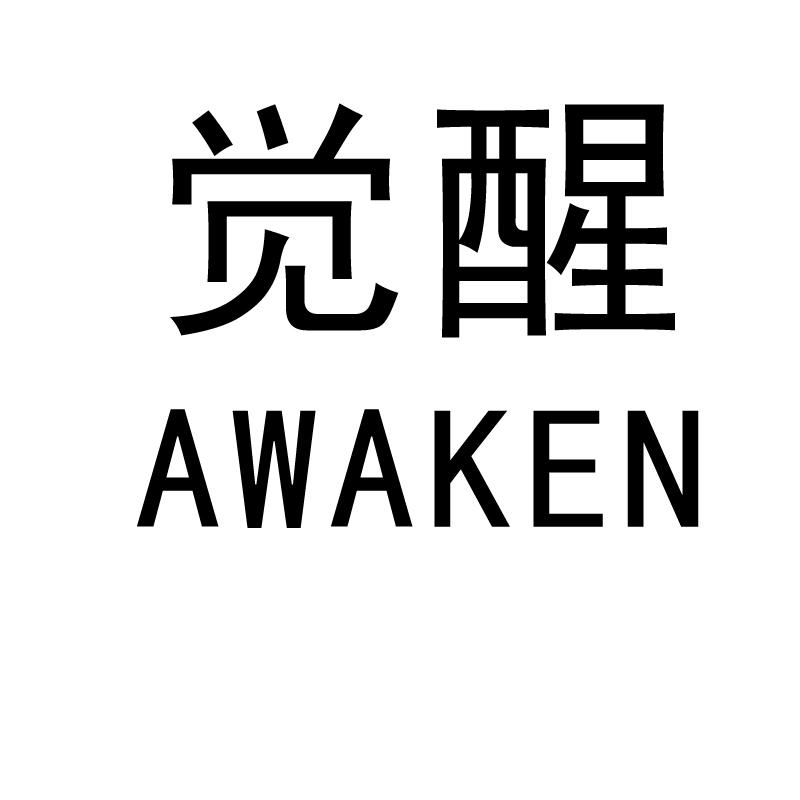 觉醒 AWAKEN