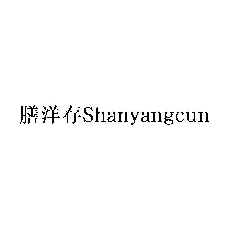 膳洋存Shanyangcun