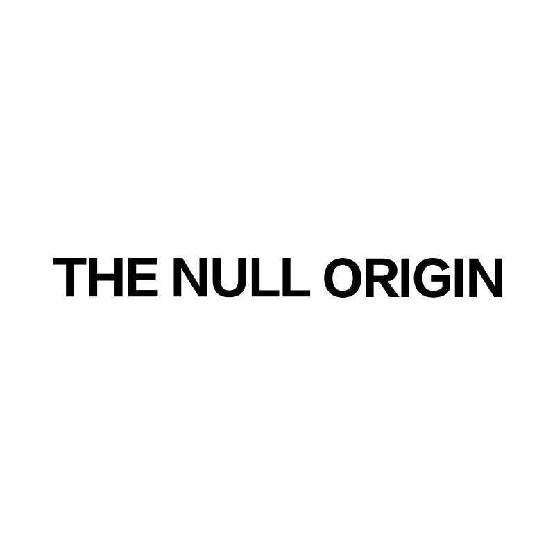 THE NULL ORIGIN（北面）