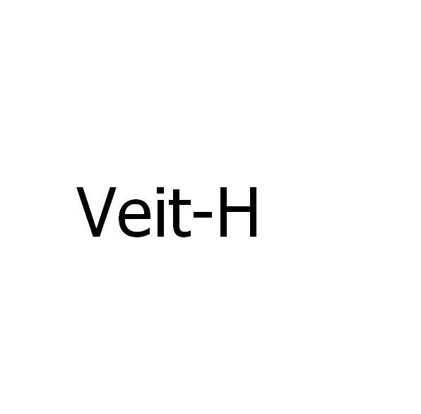 VEIT-H