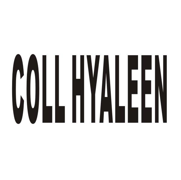 COLLHYALEEN