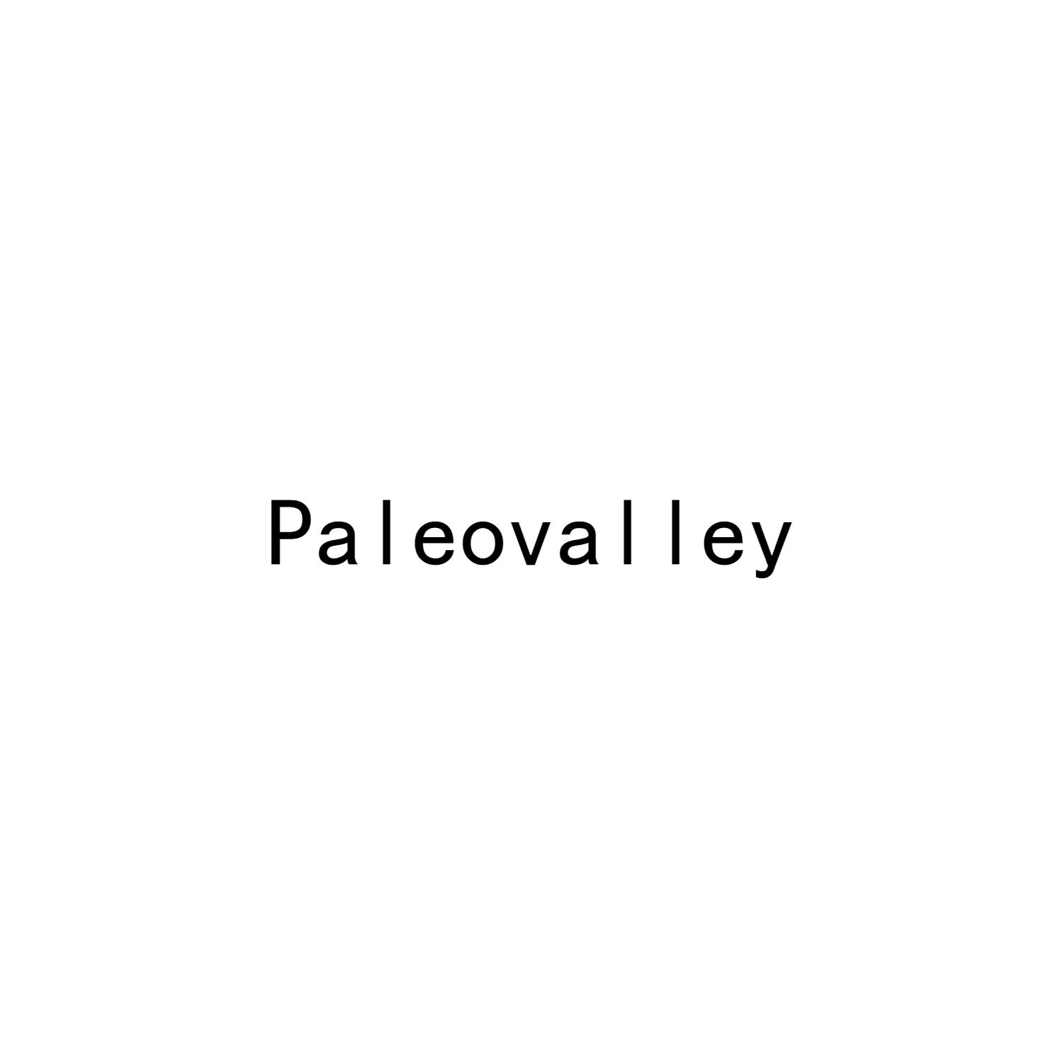 PALEOVALLEY