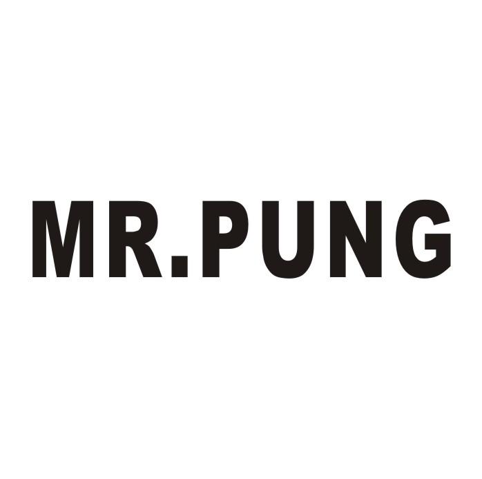 MR. PUNG