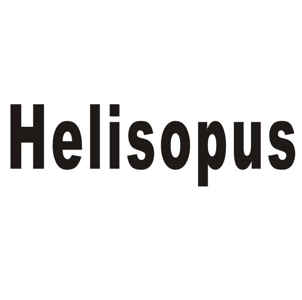HELISOPUS